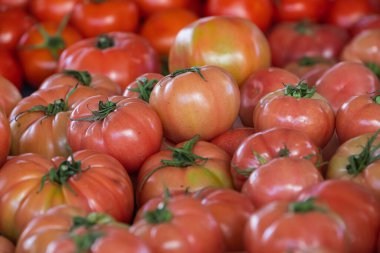 Domates arka planı. Dükkanda yetişen taze domatesler. Salata, ana yemek ve çorba için domates.