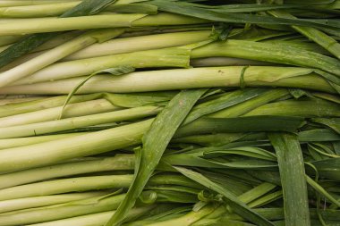 Arka plan için yeşil sebze yakın plan, soğan dokusu. Çiftçi pazarının vitrininde yeşil pırasa. Taze çiğ sebzeler