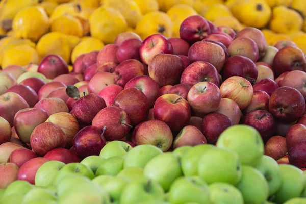 Fondo Manzanas Verdes Amarillas Rojas Variedad Manzanas Frescas Cultivadas Tienda — Foto de Stock