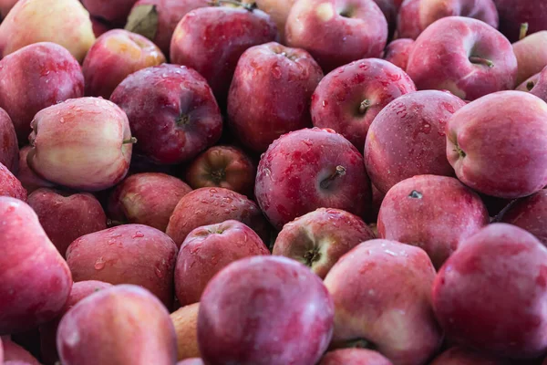 Fondo Manzanas Rojas Variedad Manzanas Frescas Cultivadas Tienda Manzana Adecuada — Foto de Stock