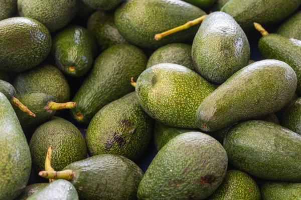 Cerrar Fondo Avokado Variedad Verduras Frescas Cultivadas Tienda — Foto de Stock