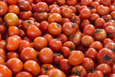 Domates arka planı. Dükkanda yetişen taze domatesler. Salata, ana yemek ve çorba için domates.