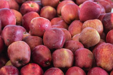 Kırmızı elma arka planı. Dükkanda yetişen taze elmalar. Meyve suyu, turta, elma püresi ve komposto için uygun elma.