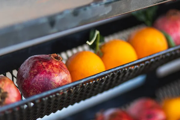 진열장에 석류와 오렌지 거짓말 — 스톡 사진
