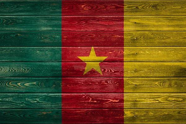 Drapeau National Cameroun Est Peint Sur Camp Même Planches Clouées — Photo