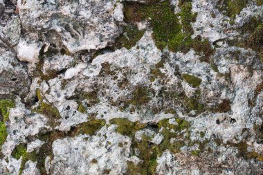 Yaprakları ve yosunları olan kahverengi-gri taş duvarın arka planı. Tahta duvar dokusu ve arkaplan deseni 