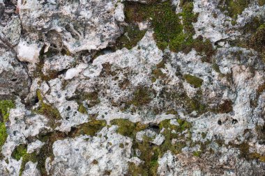 Yaprakları ve yosunları olan kahverengi-gri taş duvarın arka planı. Tahta duvar dokusu ve arkaplan deseni 