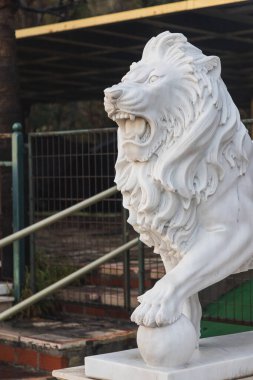 Kapalı alçı kaplama bir aslan heykeli ağzı açık ve göz korkutucu dişleri var.