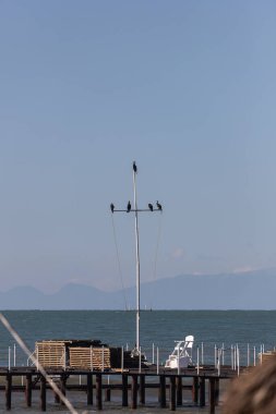 Güzel deniz pantonu ve plaj. Otelin kumlu sahilinde büyük bir ahşap iskele var. Uzun pantolonlu güzel tropikal sahil manzarası. Deniz kıyısının manzarası