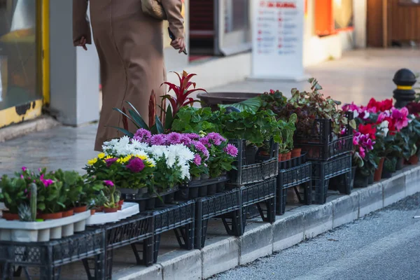 Красочные Цветы Цветочных Горшках Городской Дороге — стоковое фото