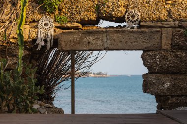 Antik şehirde atmosferik bir yer. Antik şehrin taş kemeri bir düş kapanı ile süslenmiş. Yakınlarda büyüyen büyük bir kaktüs var.