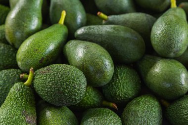 Taze yeşil avokadolar, yumuşak seçici odaklanma. Avokadolu bir arkaplan