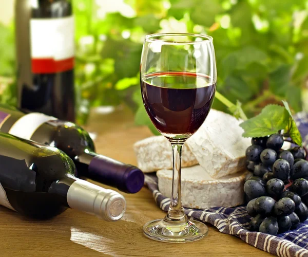 Red wine, grape, Brie and Camembert cheeses — Stock Photo, Image