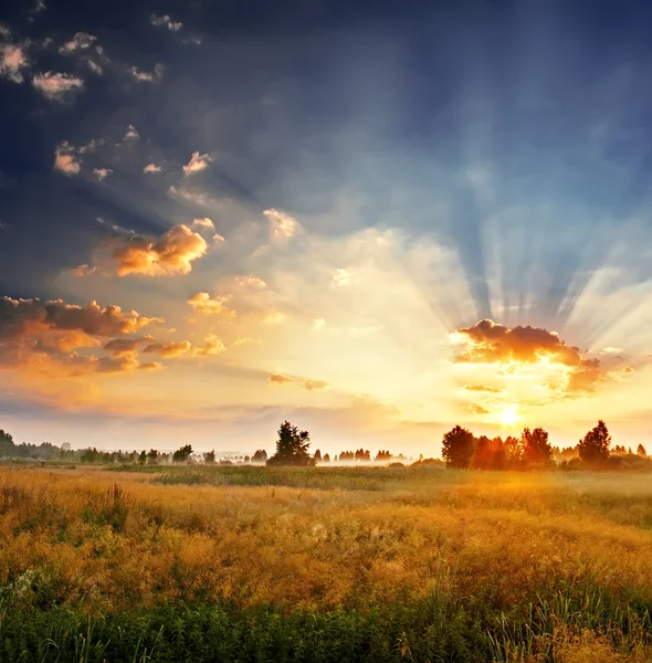 Amanecer en un campo — Foto de Stock