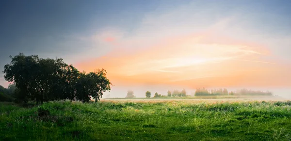 Amanhecer em um campo — Fotografia de Stock