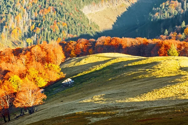 Herbstliche Landschaft — Stockfoto