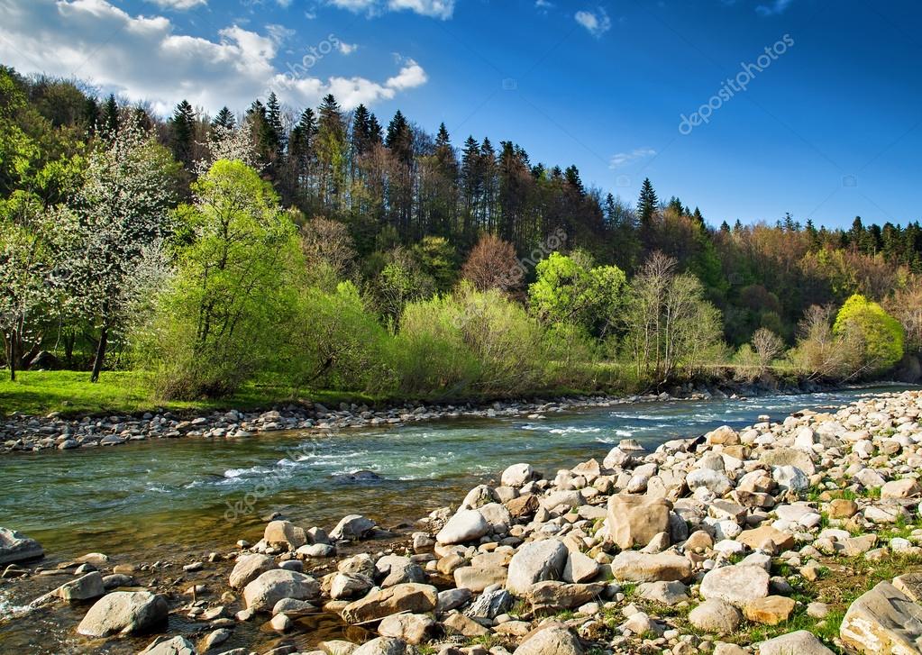 Landscape with river and forest Stock Photo by ©Derkien 19776185