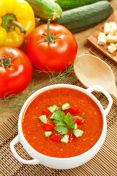 Gazpacho and ingredients — Stock Photo, Image