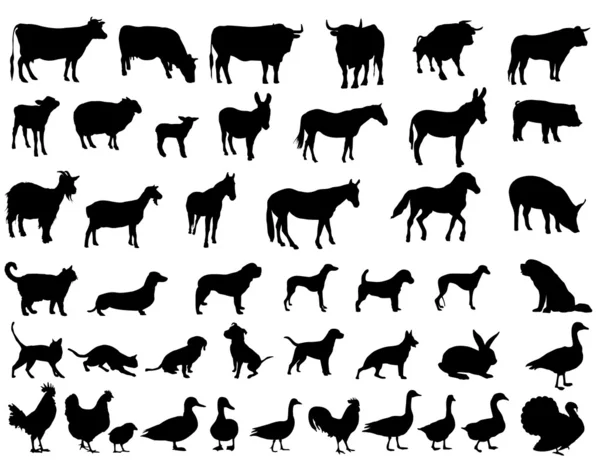 Animales — Vector de stock