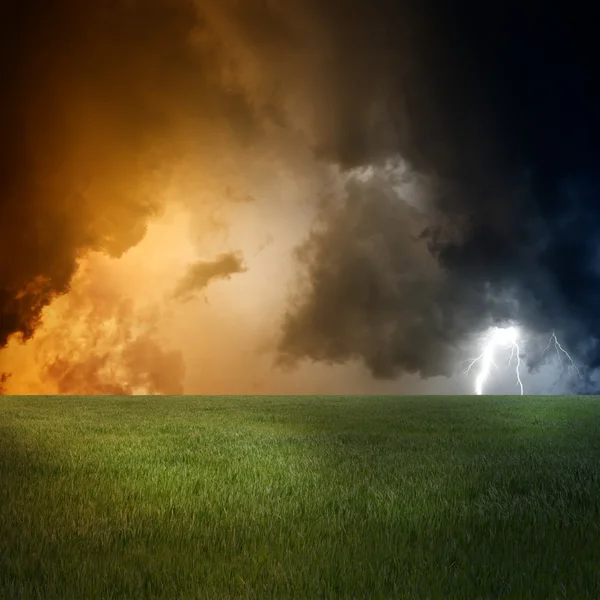 Campo verde, céu escuro — Fotografia de Stock