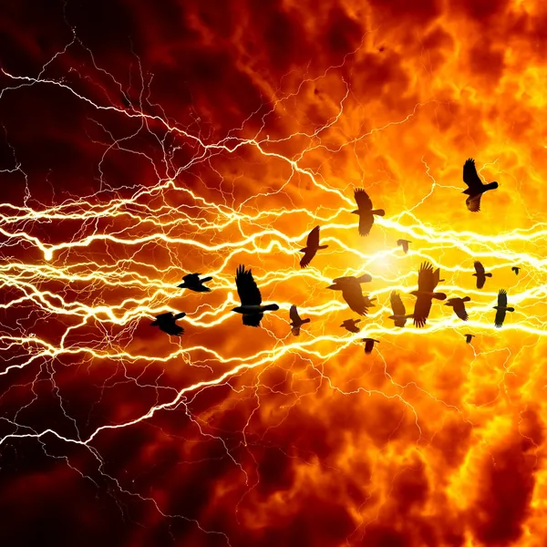 Crows in dark sky — Stock Photo, Image