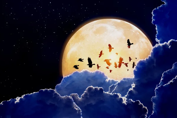 Pleine lune, corbeaux — Photo