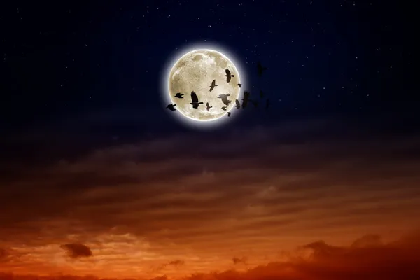 Full moon, ravens — Stock Photo, Image