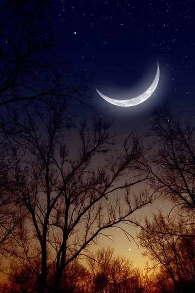 Night sky with moon — Stock Photo, Image