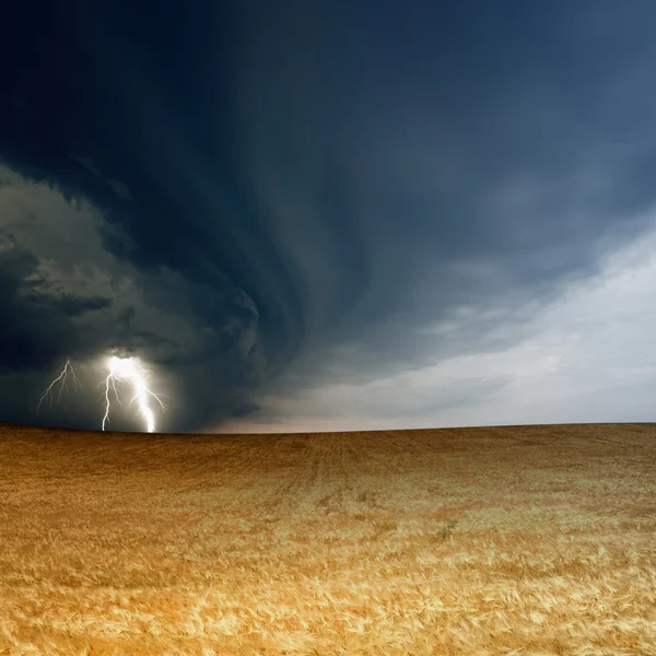 Stormy sky, ripe barley — Stock Photo, Image