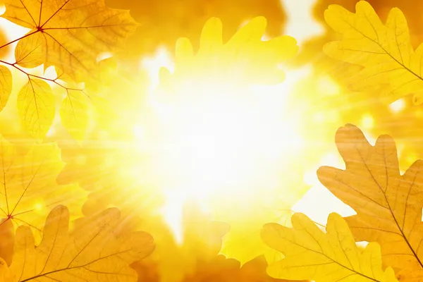 Fall background Stock Photos, Royalty Free Fall background Images ...