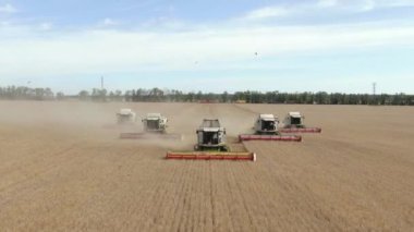 - Rusya. İrkutskaya oblast. 20 Ağustos 2021. Buğday tarlasında çalışan hasat makinesini birleştirin. Bir çiftlikte mahsul keserken hasat makinesi. Tahıl hasadı sırasında birleşiklerin drone görünümü.