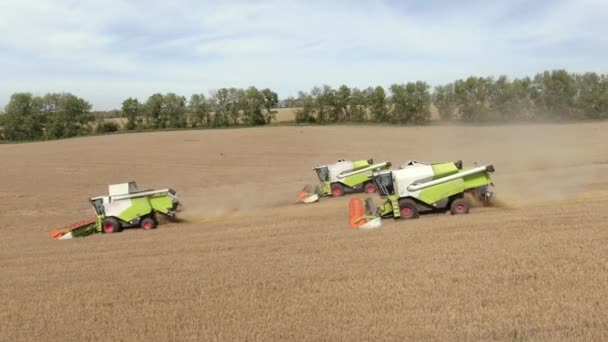 Rússia Irkutskaya Oblast Agosto 2021 Combine Colheitadeira Trabalhando Campo Trigo — Vídeo de Stock