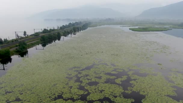 Fleurs Nénuphars Près Lac Baïkal Village Slyudyanka Tirer Depuis Drone — Video