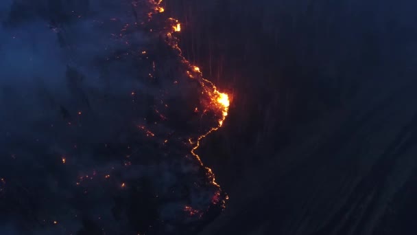 森林火災 森は火事だ イルクーツク地方 特別な事件だ 生態学 ドローンからの撮影 上からの眺め — ストック動画