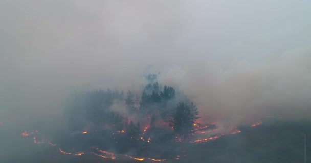 森林大火 森林着火了 伊尔库茨克地区 不寻常的事件生态学 从无人机上射击 从上面看 — 图库视频影像
