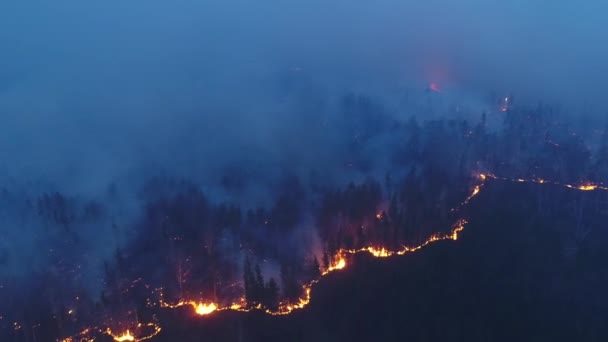Fuego Forestal Bosque Está Ardiendo Región Irkutsk Incidente Extraordinario Ecología — Vídeos de Stock