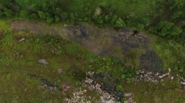 There is a lot of rubbish in the forest. The concept of anthropogenic pollution of forests and nature. Scary trash heap in the forest. Near Baikal