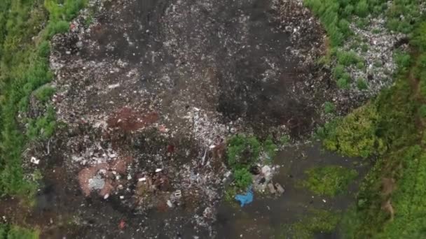 Υπάρχουν Πολλά Σκουπίδια Μέσα Στο Δάσος Έννοια Της Ανθρωπογενούς Ρύπανσης — Αρχείο Βίντεο