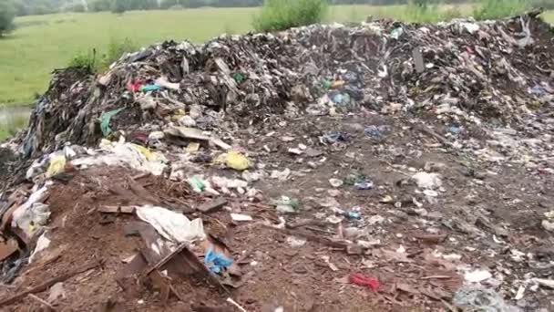 Lot Rubbish Forest Concept Anthropogenic Pollution Forests Nature Scary Trash — Stockvideo