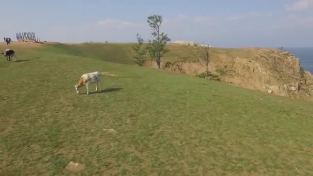 Prorees Majestatyczny Baikal Rządzi Summer Lake Baikal Olkhon Island — Wideo stockowe