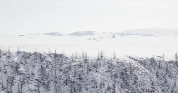 Lago Baikal Ghiaccioli Congelati Hummocks Ghiaccio Isola Olkhon Buryatia Video — Video Stock