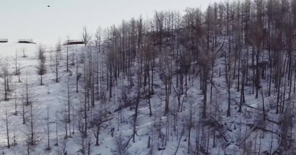 Jezioro Baikal Mrożone Kry Lodowe Lodowe Humory Wyspa Olkhon Buryatia — Wideo stockowe