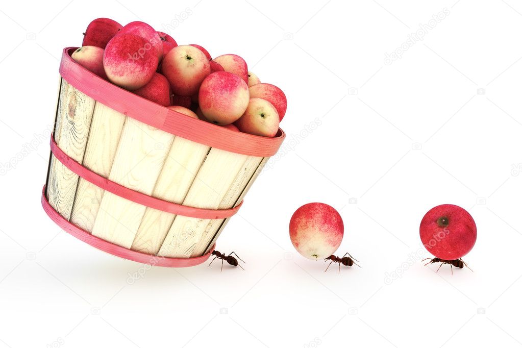 Ants carrying apples