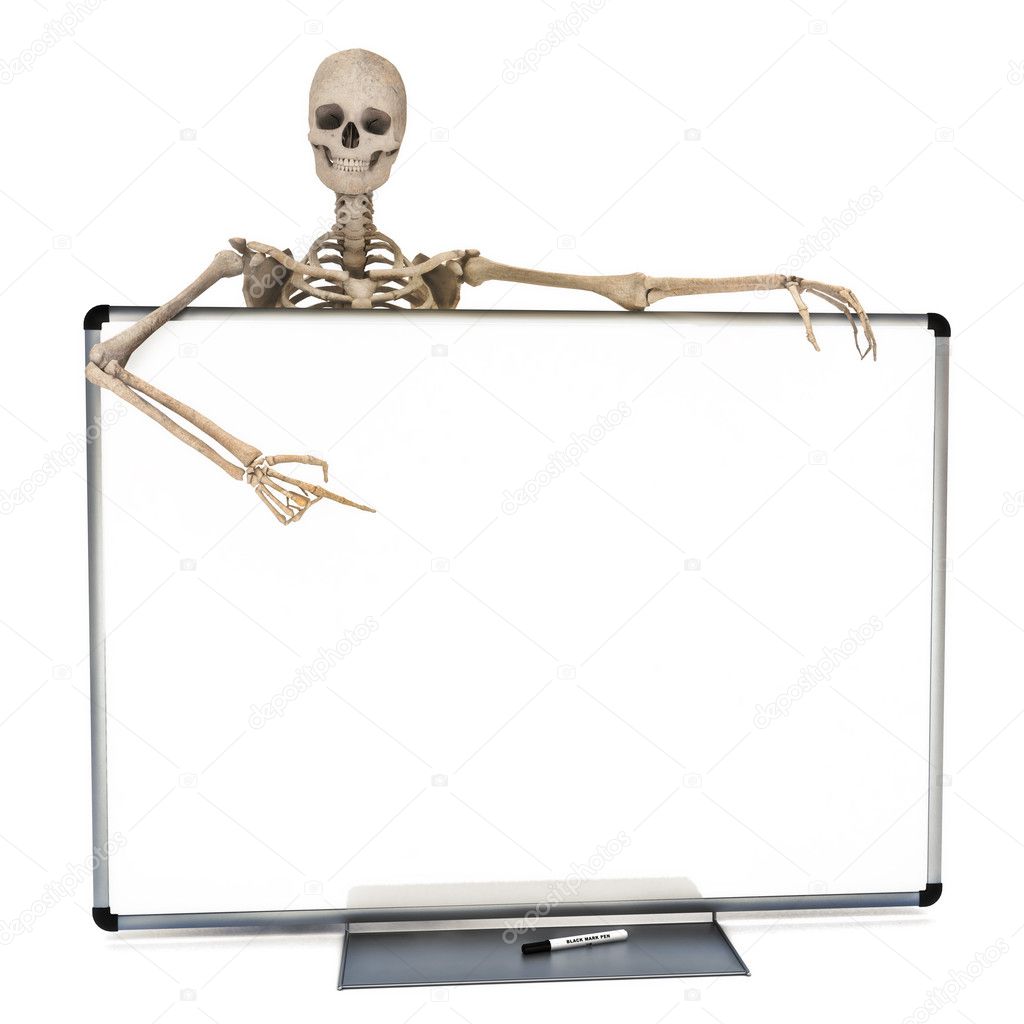 Skeleton leaning over a clean marker white board