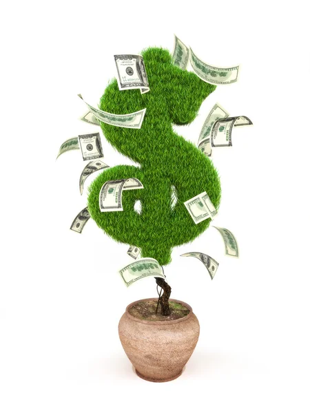 Money tree — Stock Photo, Image