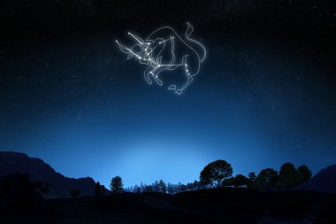 Zodyak Toros üye