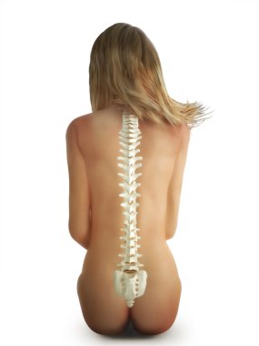 Female spine concept on a white background clipart