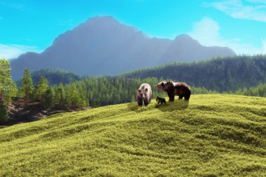Bear Mountain.