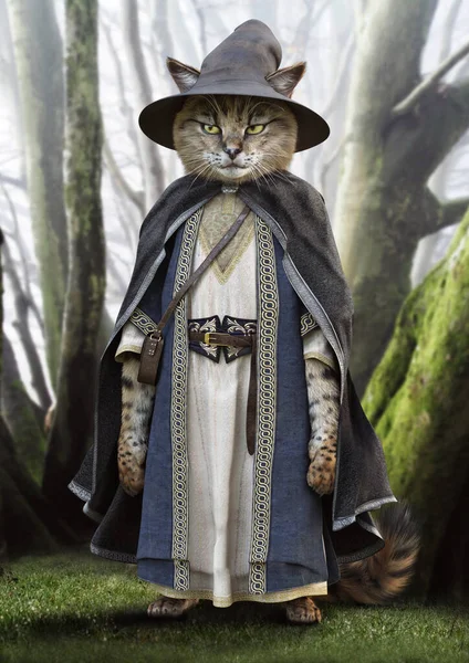 Kitty wizard fantasy themed background.Concept portrait of a cute cat dressed up in a sorceress cloak with hat and spells pouch .3d rendering . Part of a kitty cat portrait themed series.