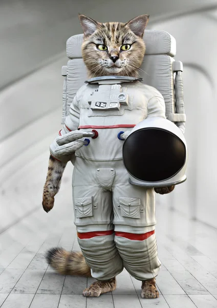 Kitty Astronaut Themed Background Concept Portrait Cute Cat Dressed Astronaut — Stock Photo, Image